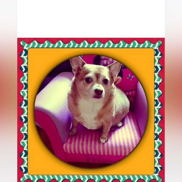 Meet your Posher, Jessica - Picture 4 of 16